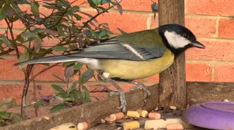 IncredibleTeamAidan (@it6318_aidan) on Twitter photo 