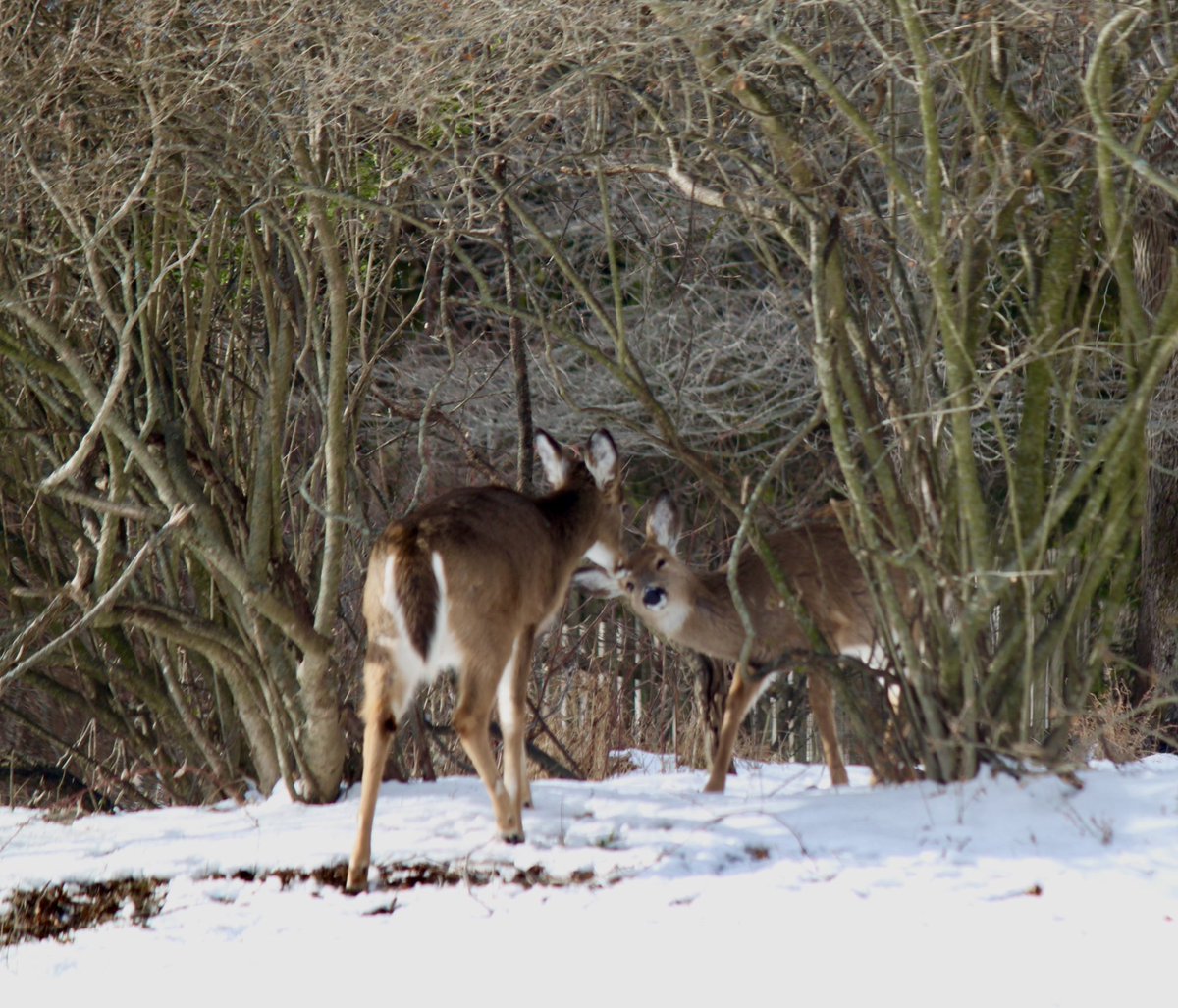 Burgeryearner's tweet image. oh Hey friend