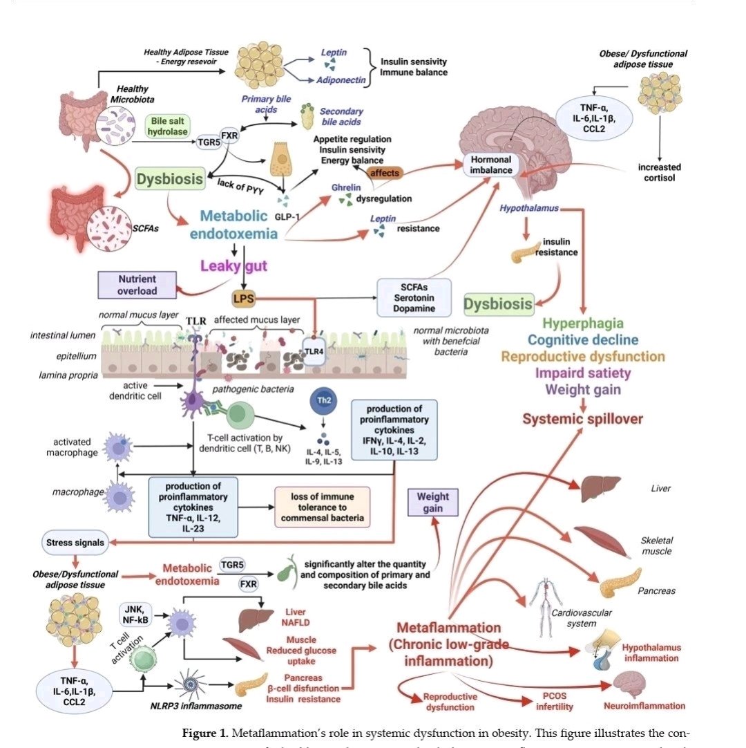 William A. Wallace, Ph.D. tweet media