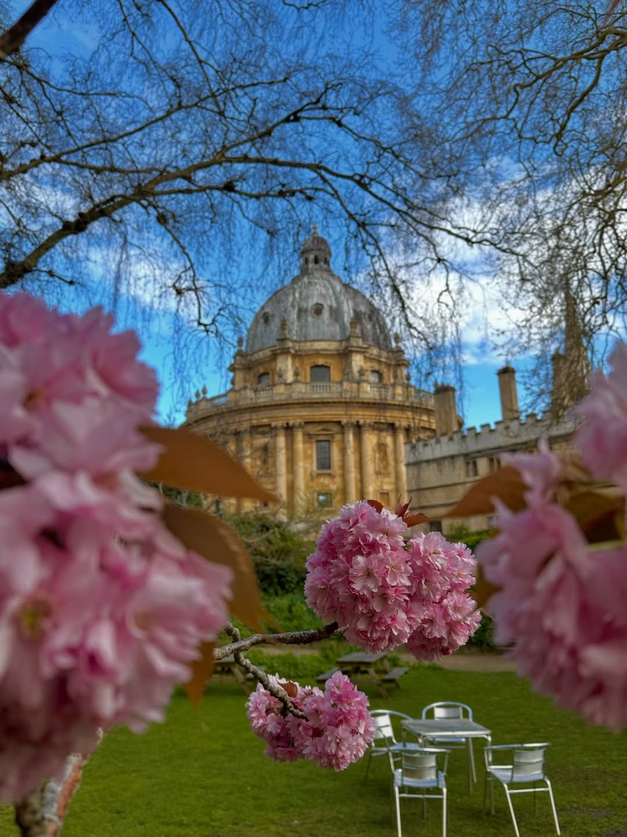 UniofOxford's tweet photo. Oxford through the seasons 🌸☀️🍂❄️

Taken from @ExeterCollegeOx Fellows' Garden.

📷 Instagram | 12AtOxford https://t.co/U1HYcjt7HS