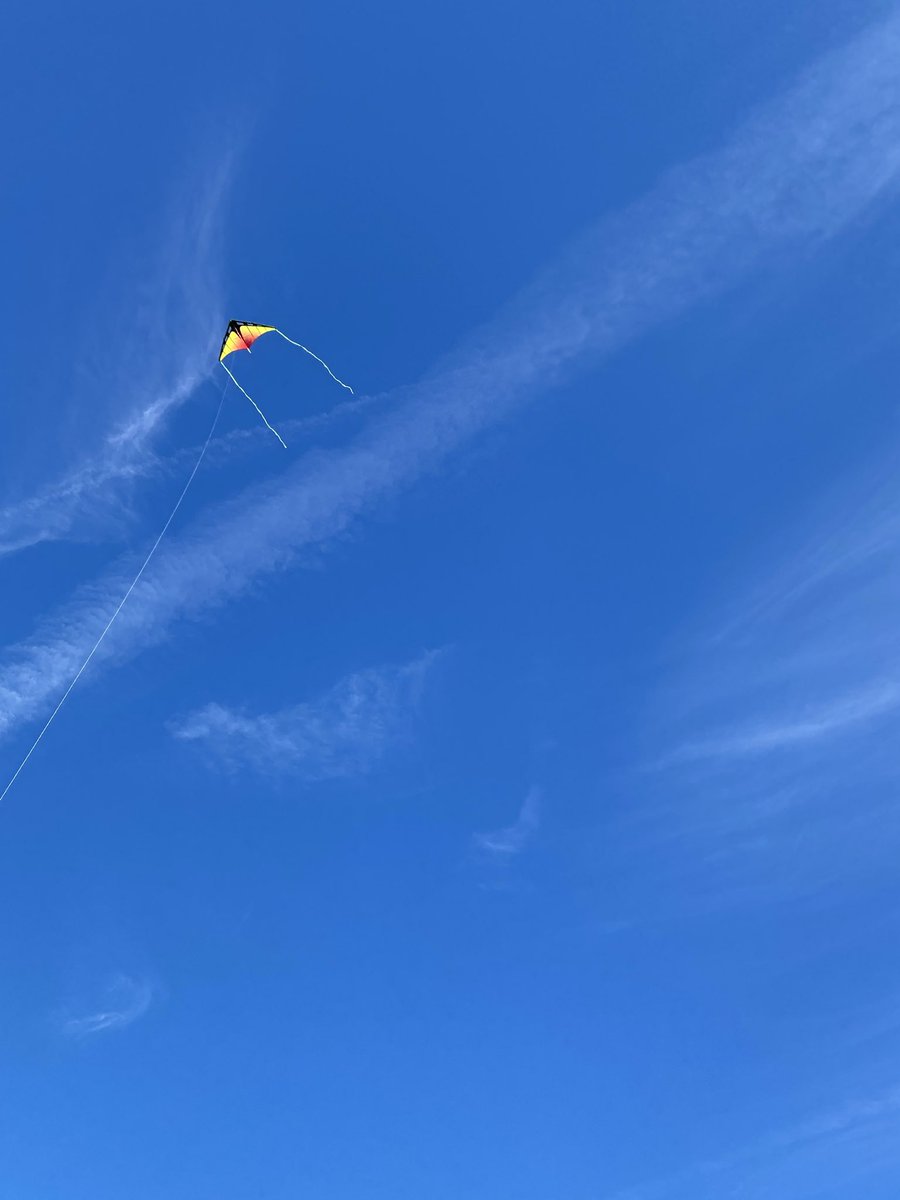 ccdrash's tweet image. 