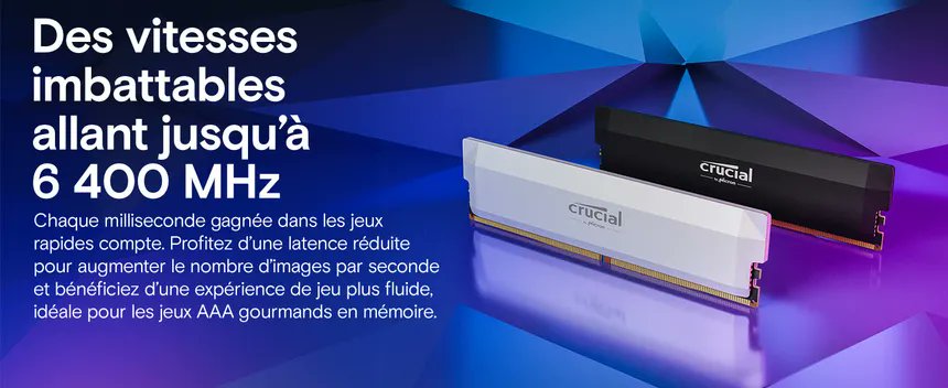 optionions 🧄 tweet media