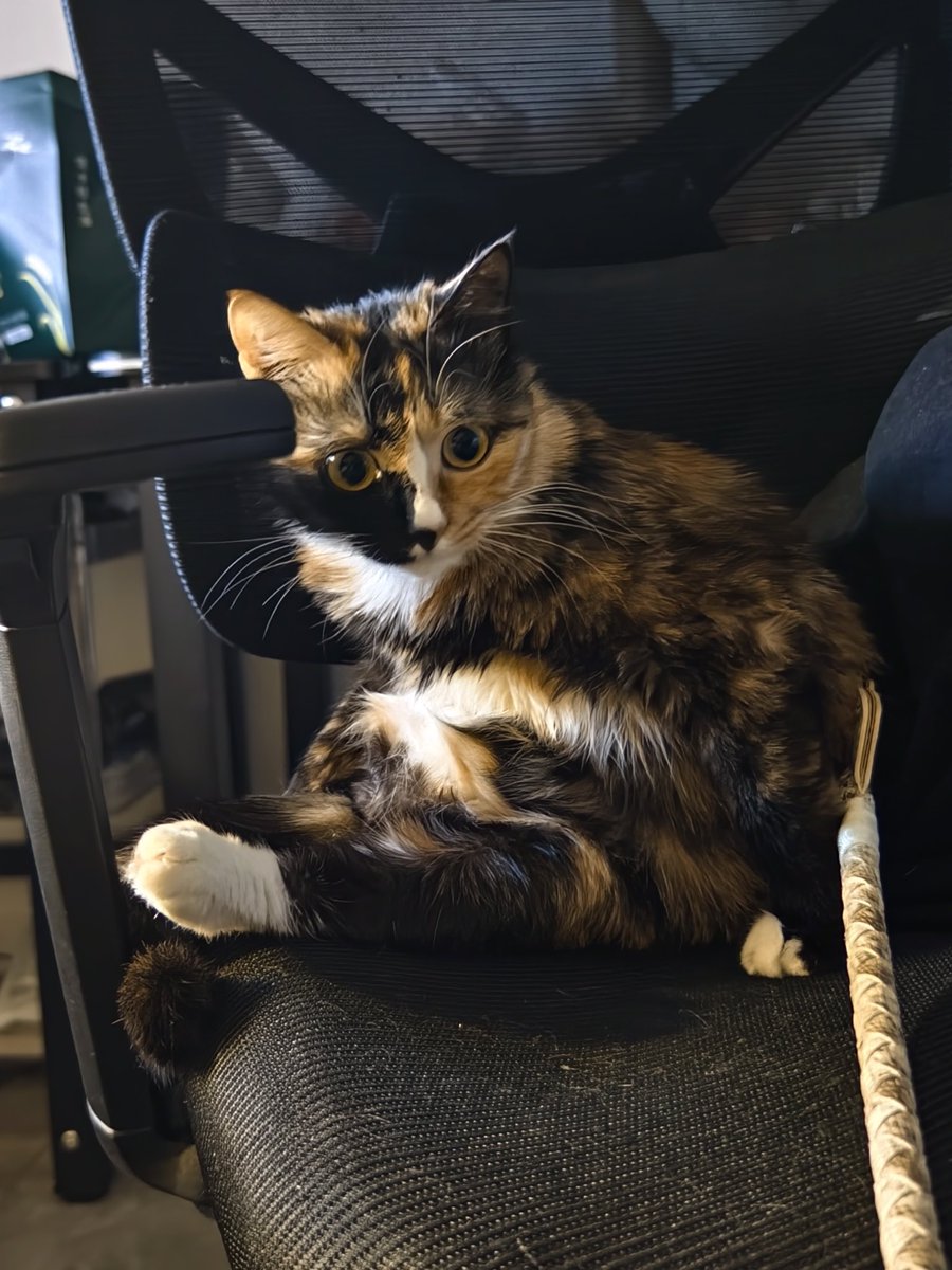 塔斯汀板烧凤梨堡 tweet media