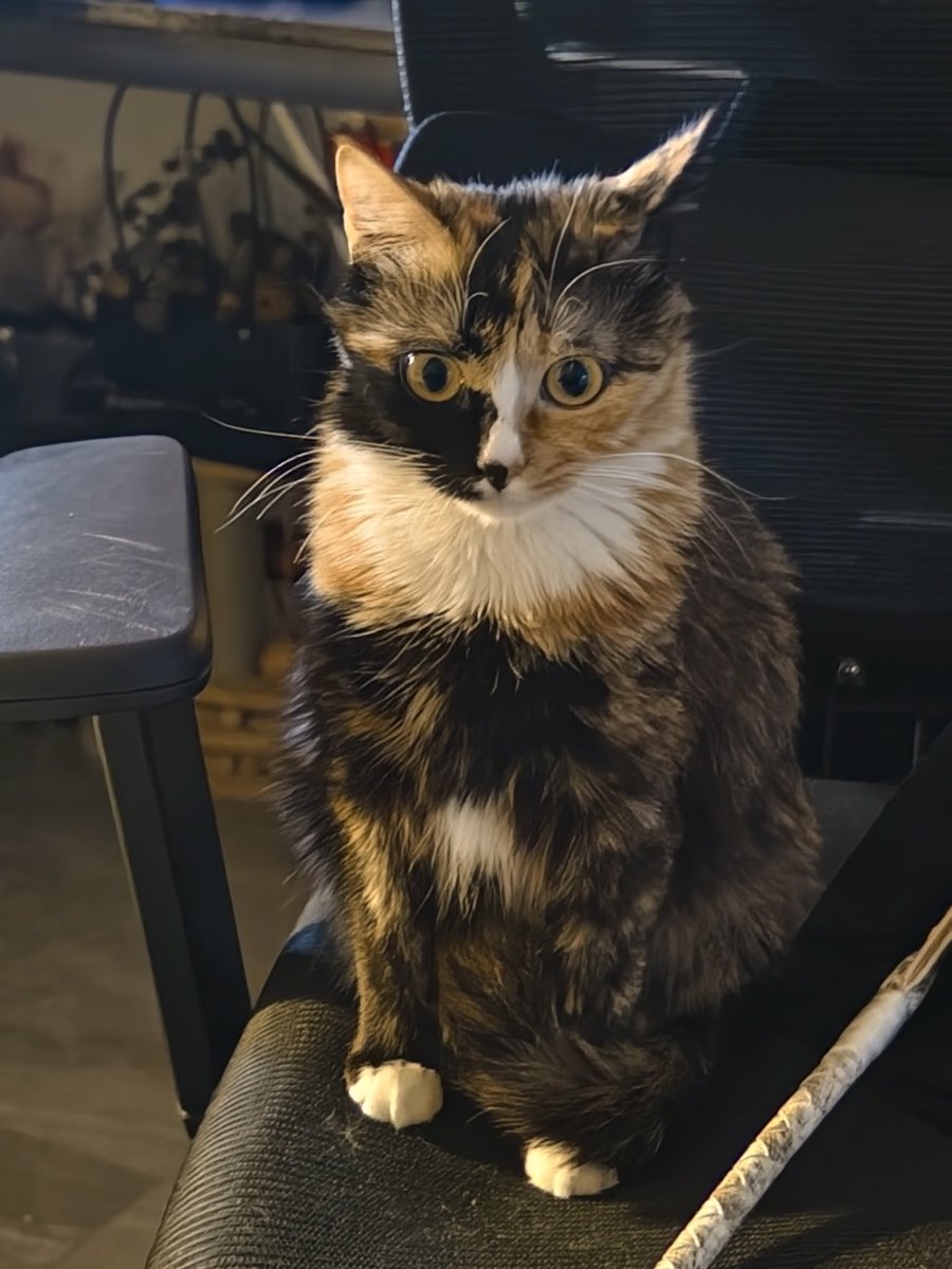 塔斯汀板烧凤梨堡 tweet media