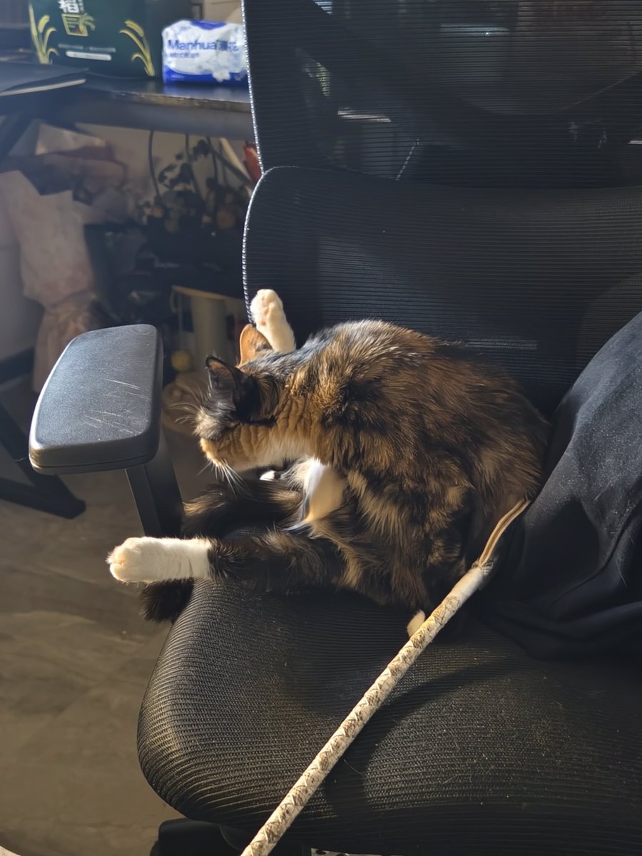 塔斯汀板烧凤梨堡 tweet media