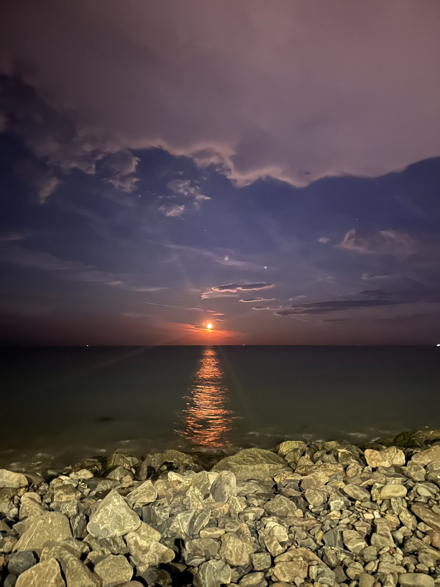 Kurt ayındaymışız 😅
#samsun