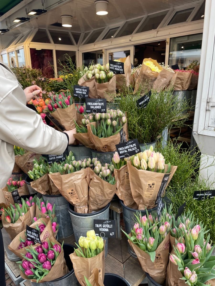 1leio's tweet image. 