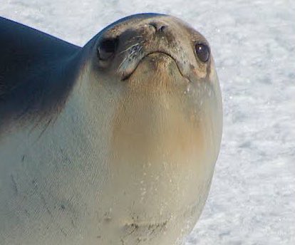 this guy is literally so :3