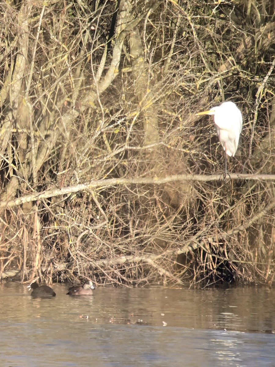 Kevin Clements tweet media