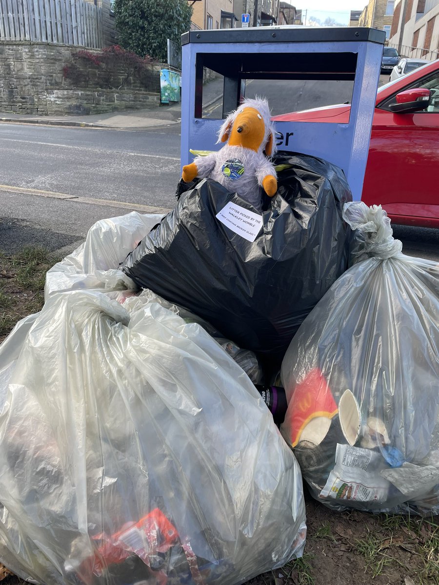 The Walkley Wombles Litter Pick Group met this morning. 11 volunteers braved the cold 🥶 and picked rubbish from numerous streets and open spaces, leaving large piles for collection in different places, all reported. Well done all, Walkley is looking  a lot nicer 👏😍
