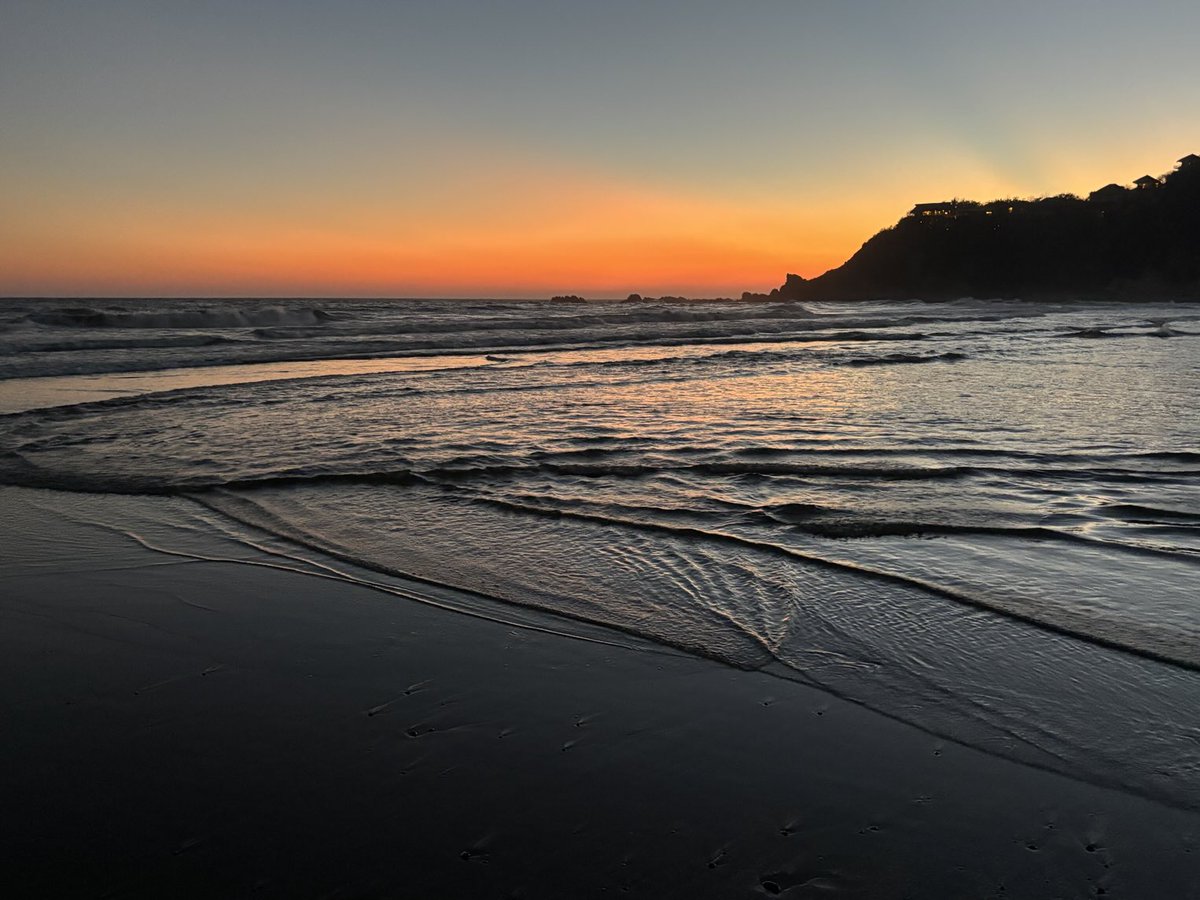 Peter S. Ross tweet media