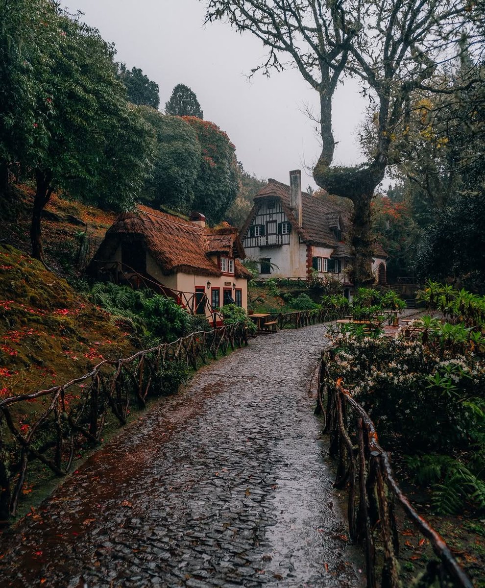 visualsofearth1's tweet image. Madeira Island