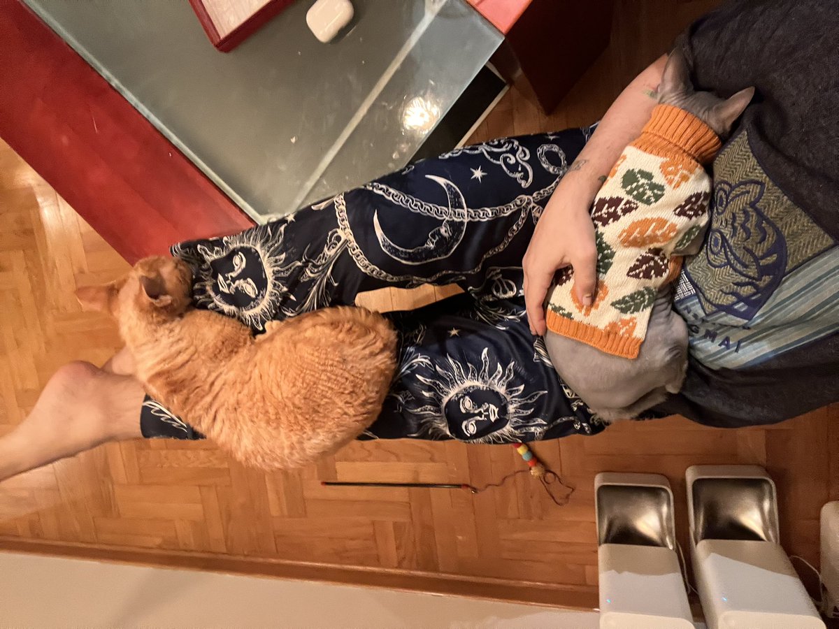 ирландские наручники
только с котами