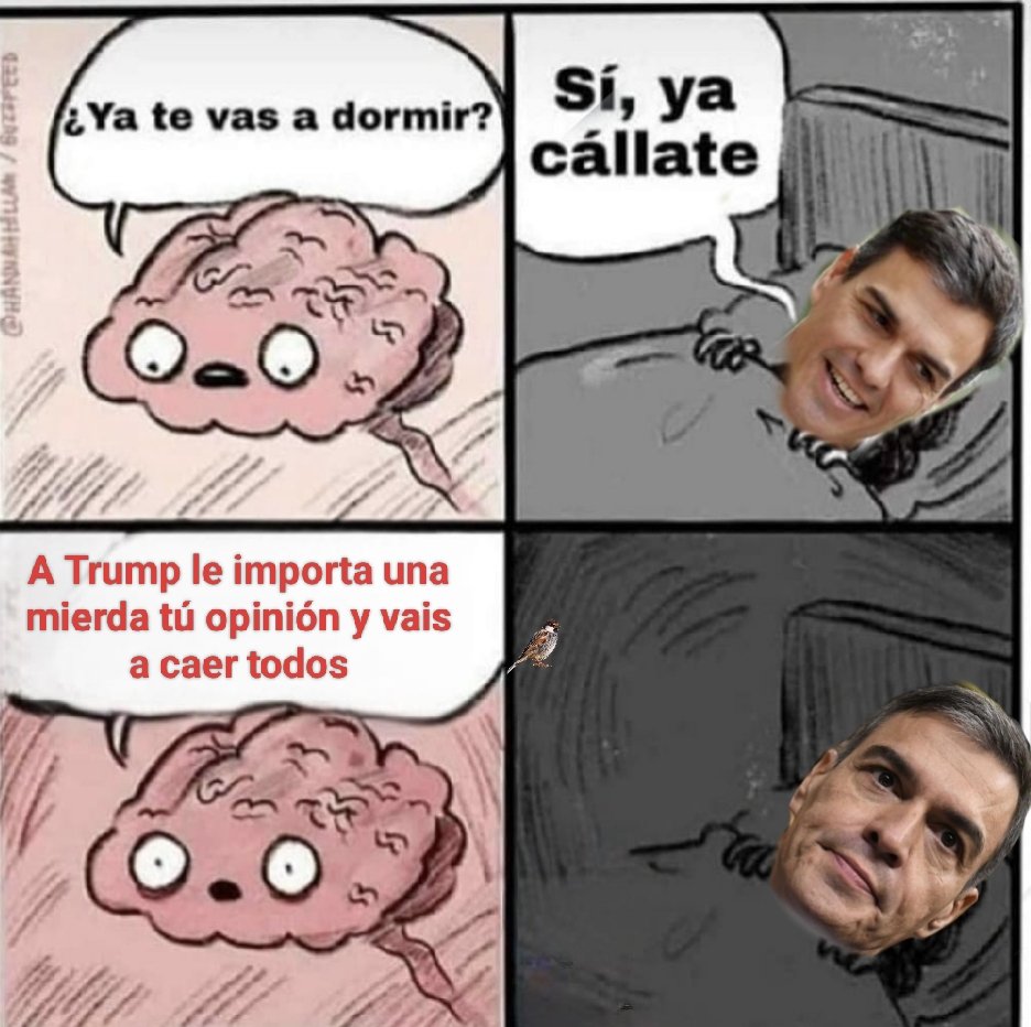 MenudosPajaros's tweet image. 