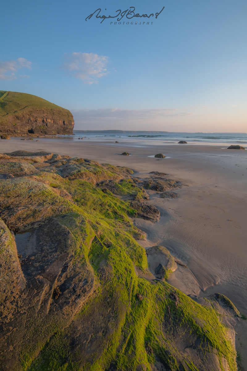 Nigel J Bevans Photo tweet media