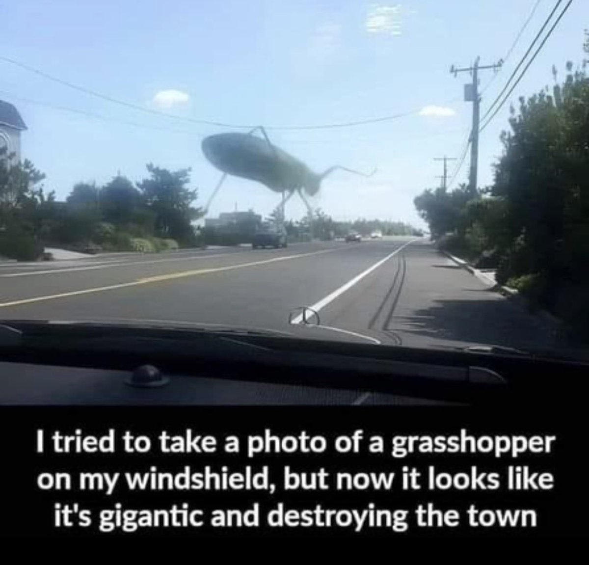 ✨Ms_Ashhole ✨ tweet media