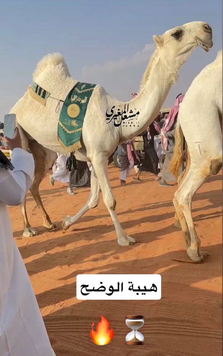 ✊🏻sultan tweet media