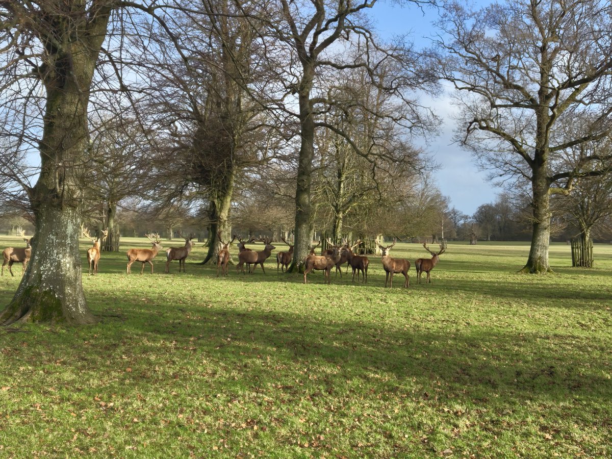 Relish Running Races tweet media