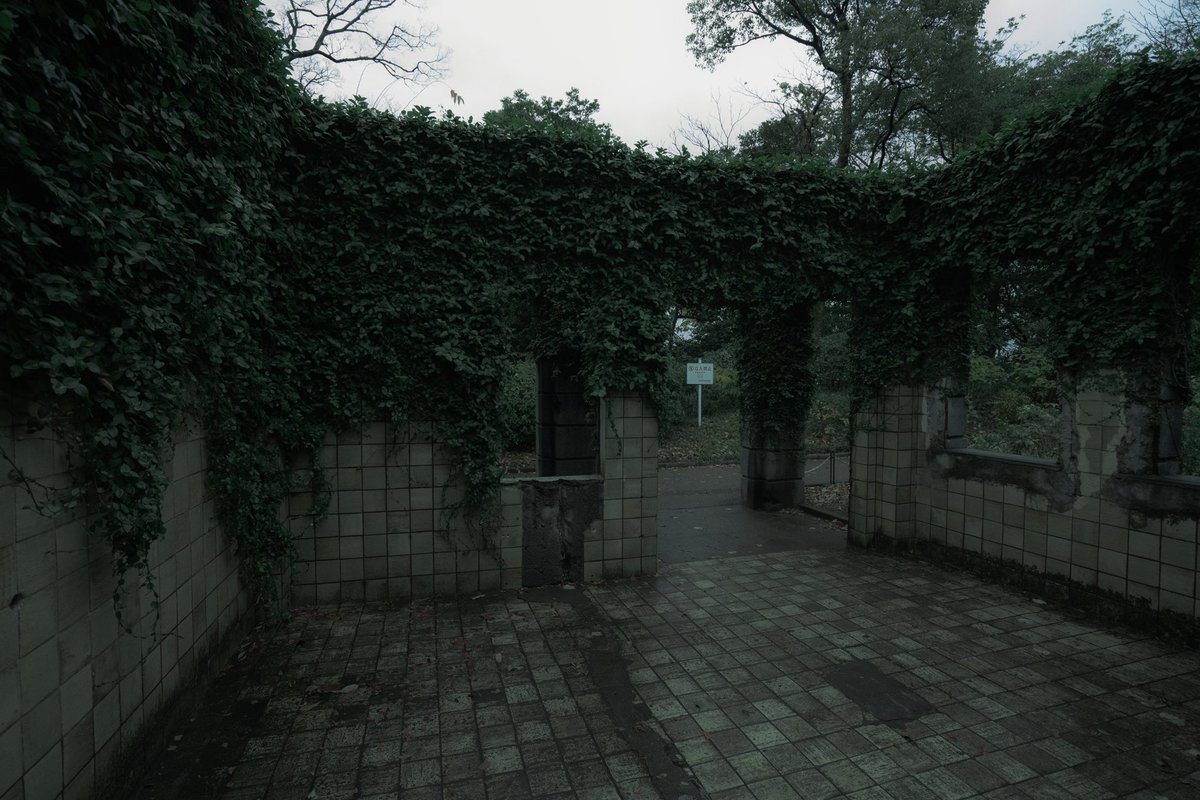 ◾︎ (@oe_111111123445) on Twitter photo 