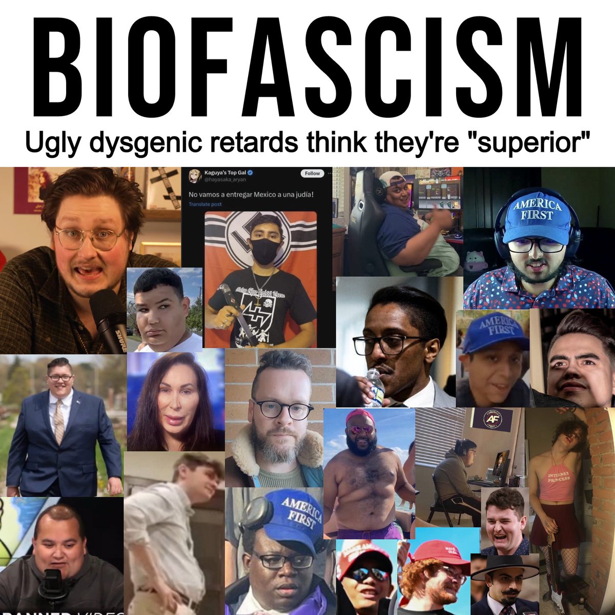 The Digital Mind tweet media