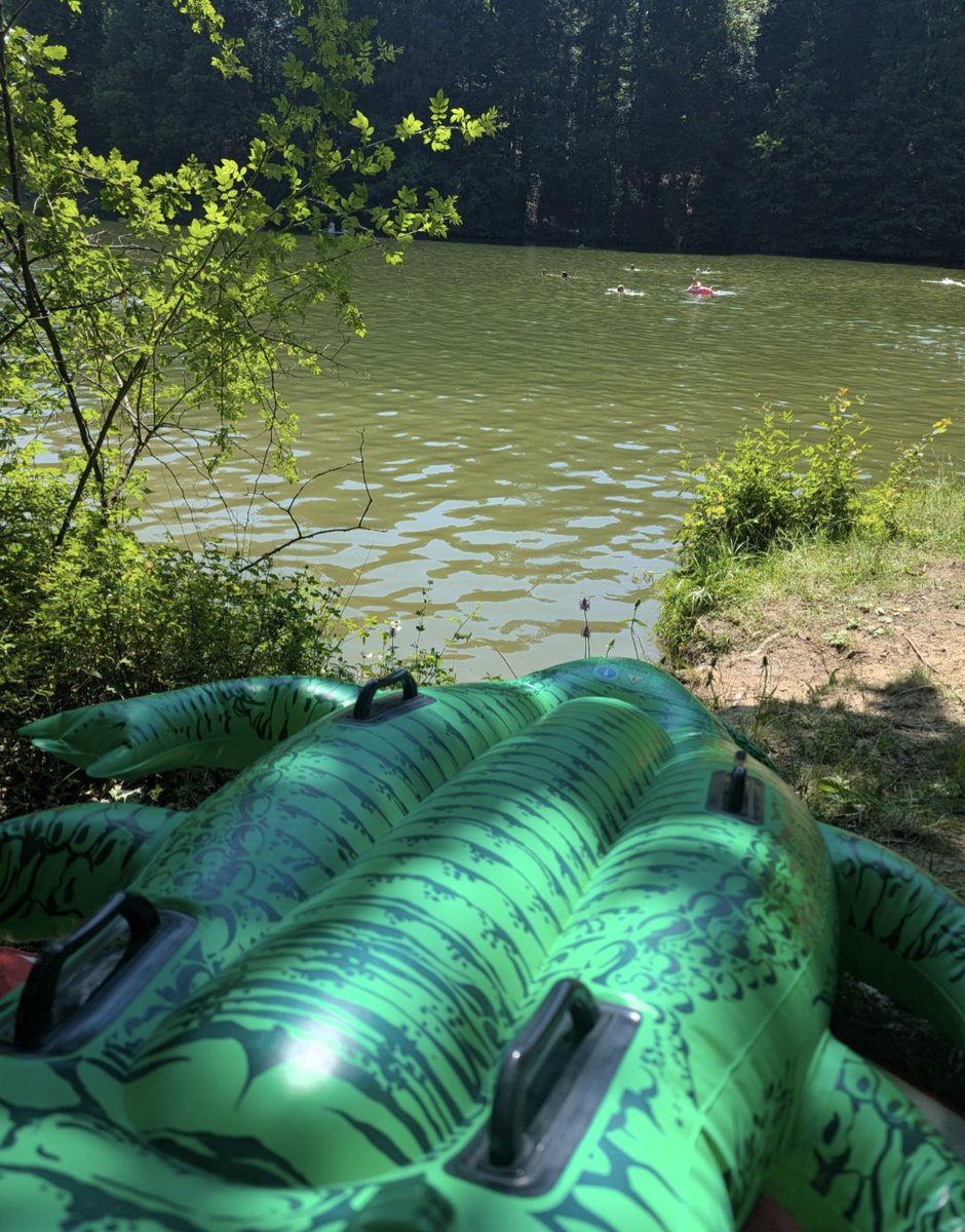 NeleonTheGator tweet media