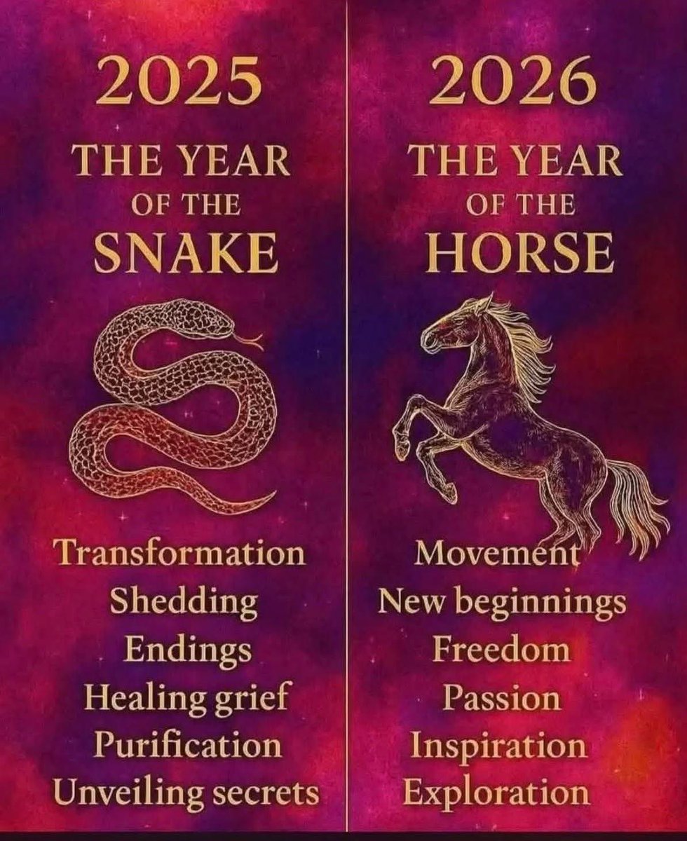 PaulGoldEagle's tweet image. 🔥🐦‍🔥🔥 REBIRTH IS HERE!!! 🔥🐦‍🔥🔥