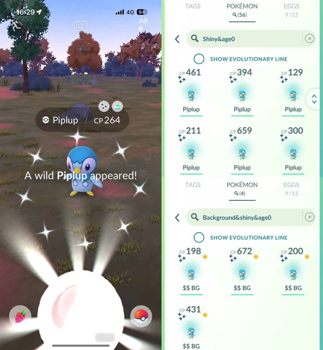 Piplup #PokemonCommunityDay was very successful!
Lots of fun, lots of shinies and I even managed to get 4 with a background!!! 🐧✨