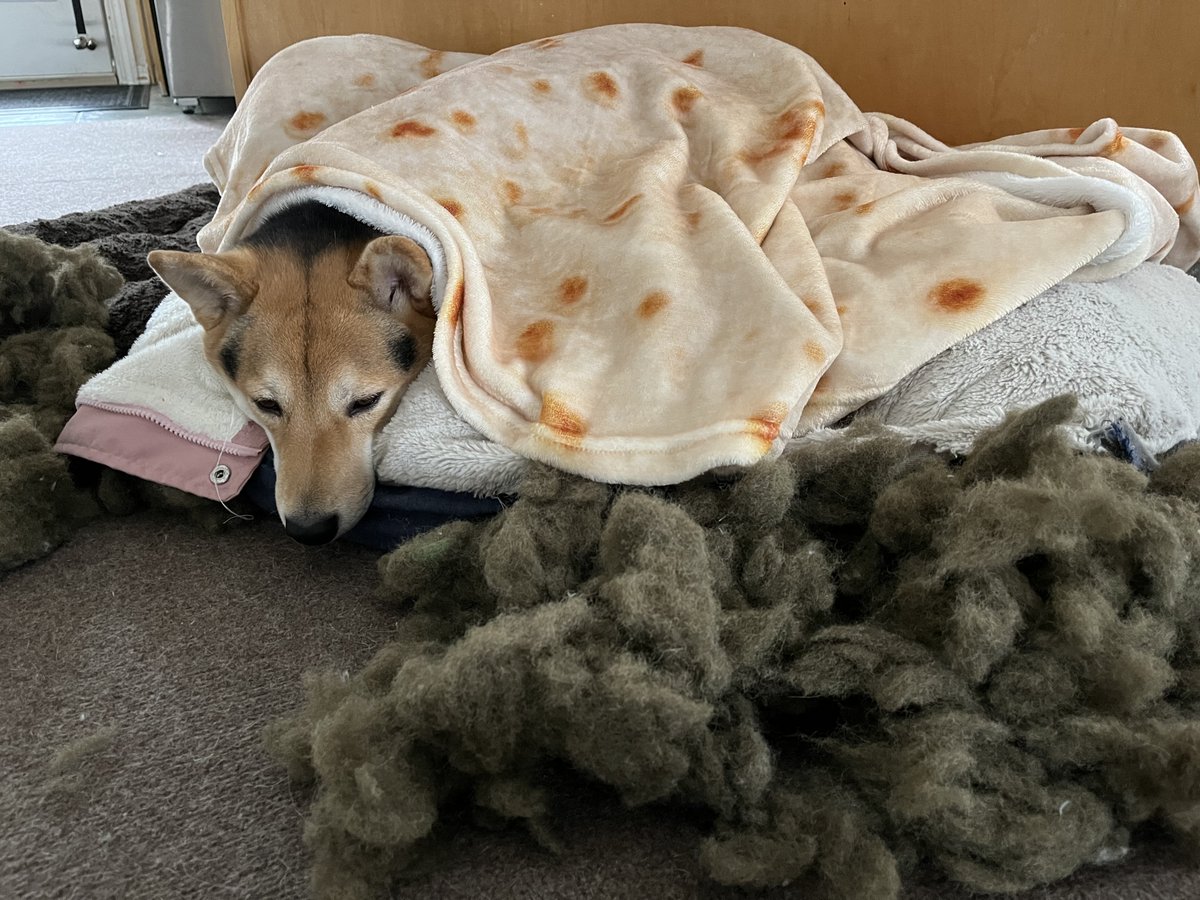 yuko 🍁 tweet media