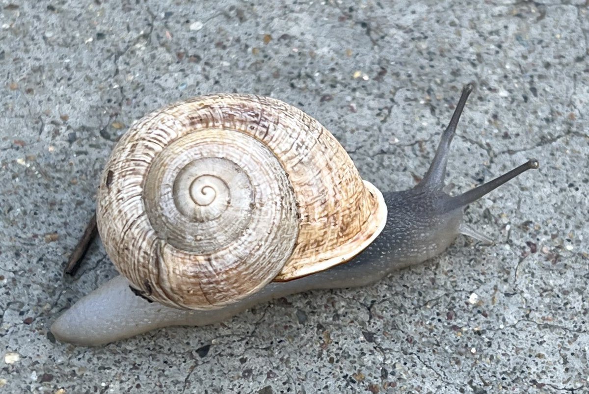 François Bereaud tweet media