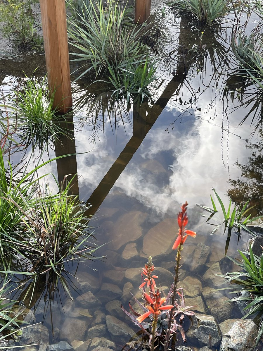 François Bereaud tweet media