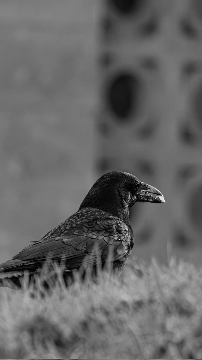 Seguimos, que ya es motivo de celebración.