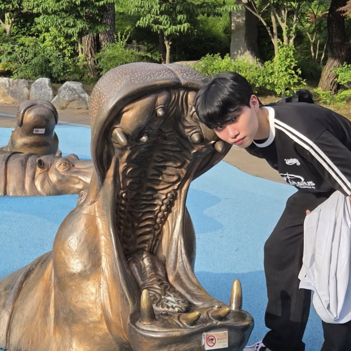 🦊💙 tweet media