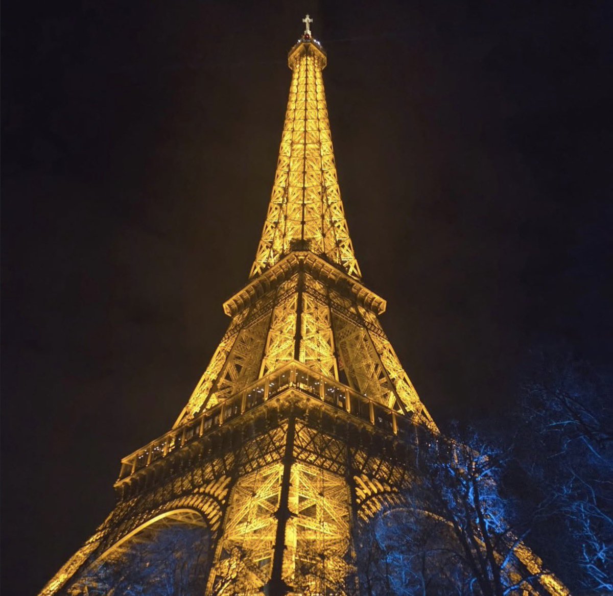 🦊💙 tweet media