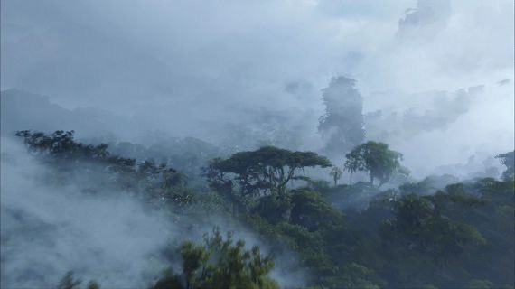 Avatar (2009)