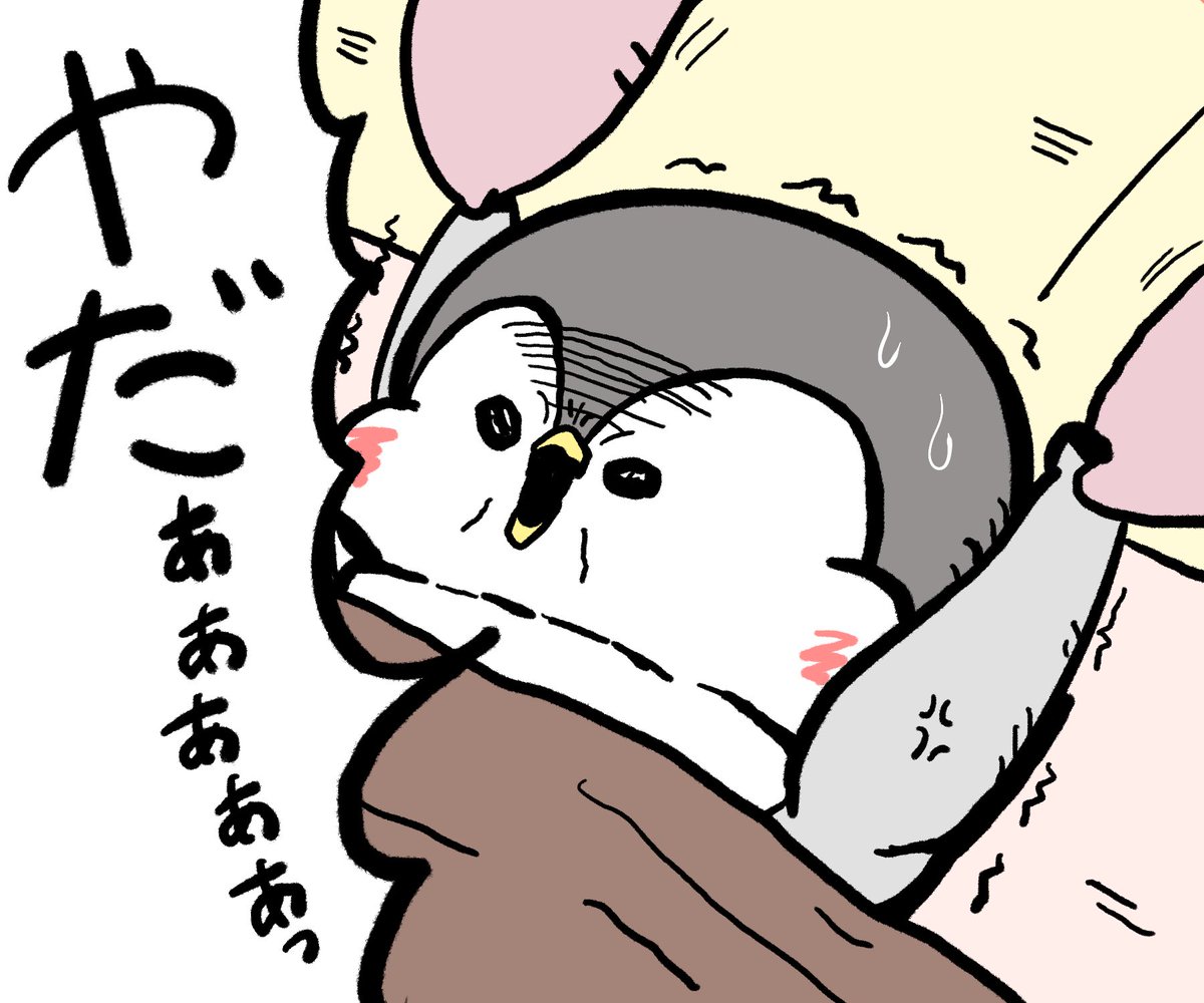 ソトコト 2010/5月号 グリーンファイター100! シーシェパード Alex. (@Alex88551240) / Posts / X