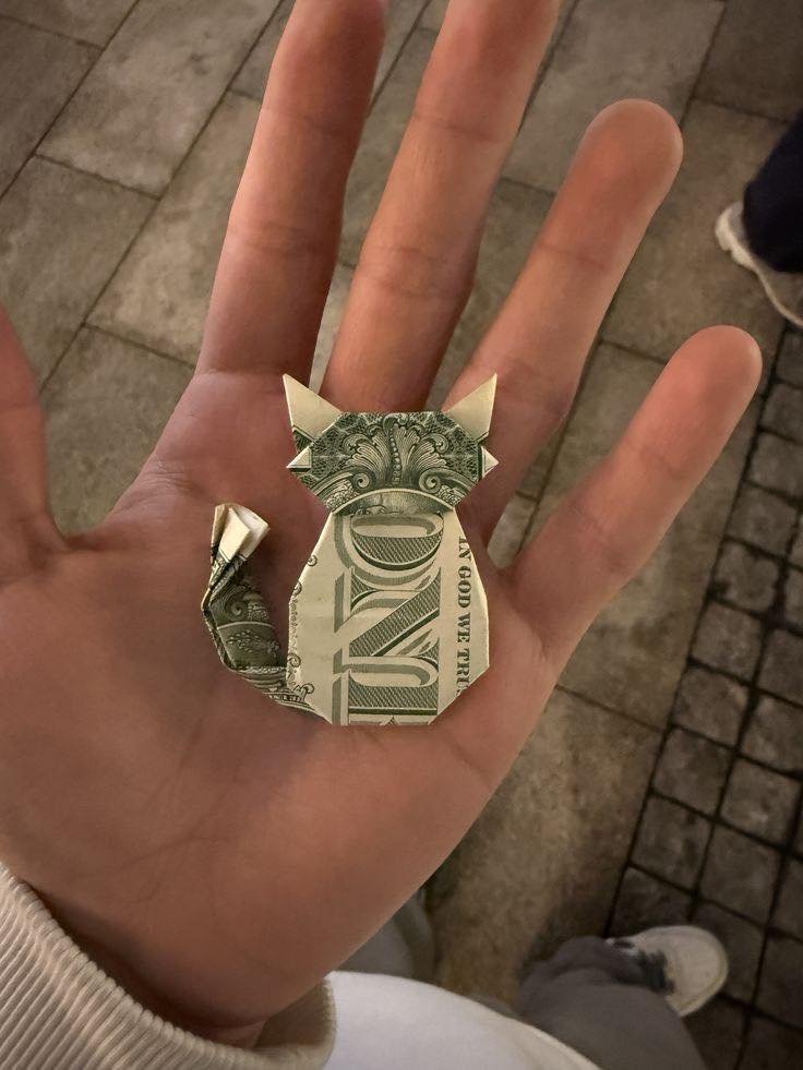 Te apareció el gato de la suerte no lo ignores 💸