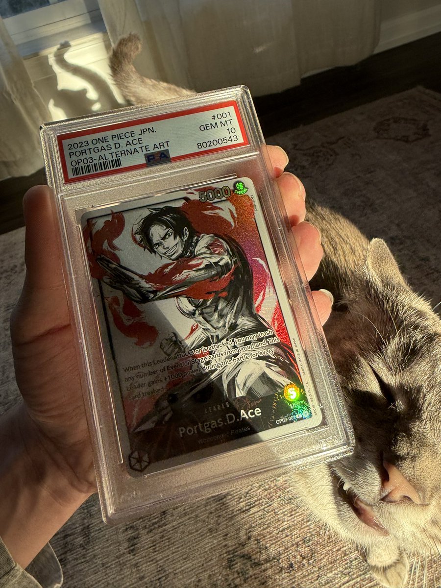 Bandz⌖ tweet media