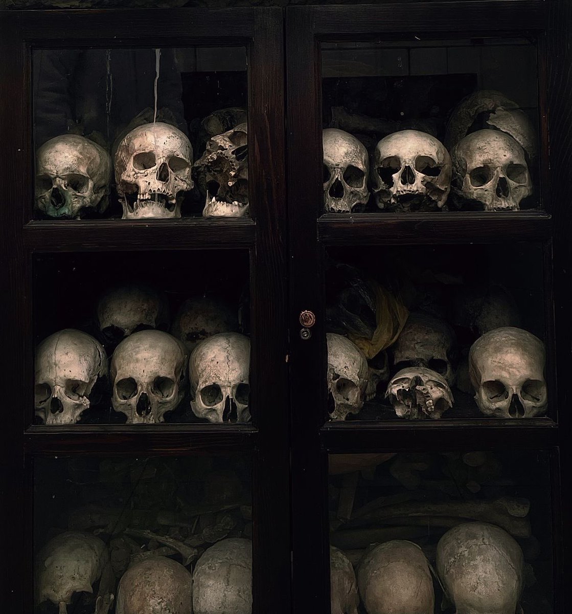 gh0stfacegf's tweet image. where i keep the ones i don’t favor