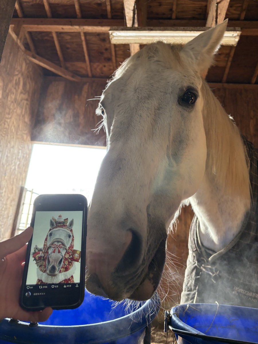 furuna🏹 (@3iwa) / Posts / X