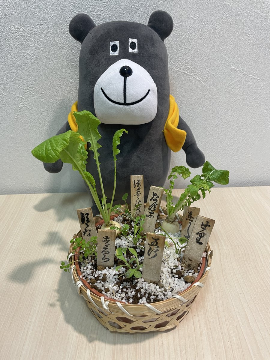 ジョーくん@一条工務店 (@joekun_ichijo) / Highlights / X