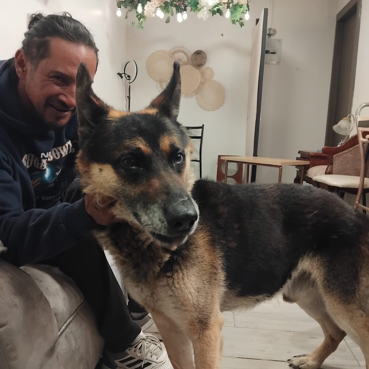 jcarreraandrade's tweet photo. Perrito perdido sector Don Bosco al norte. Ayuden a que regrese a su hogar. Triste que se pierda una mascota y más triste que no regrese con sus dueños. https://t.co/O9hB461jS4