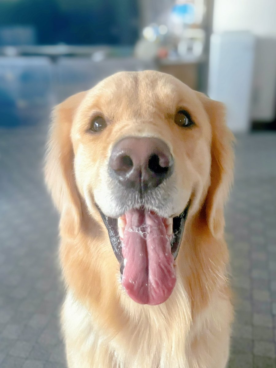 ハッピーママ♡プロフ必読お願いします♡ ☆のたま。プロフ必読さま専用☆ プロフ必読 M♡プロフ必読 専用 M