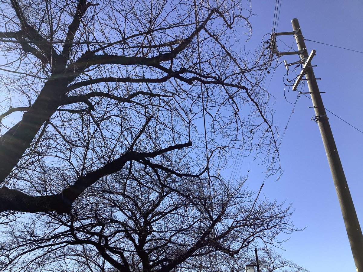 おはようございおます。
本日より　仕事一です。
＃石銀石材　＃石材　＃墓石　＃岩倉市　＃石屋　＃石　＃お墓　＃家紋　#一宮市　#江南市　#小牧市　#北名古屋市　#カコソラ