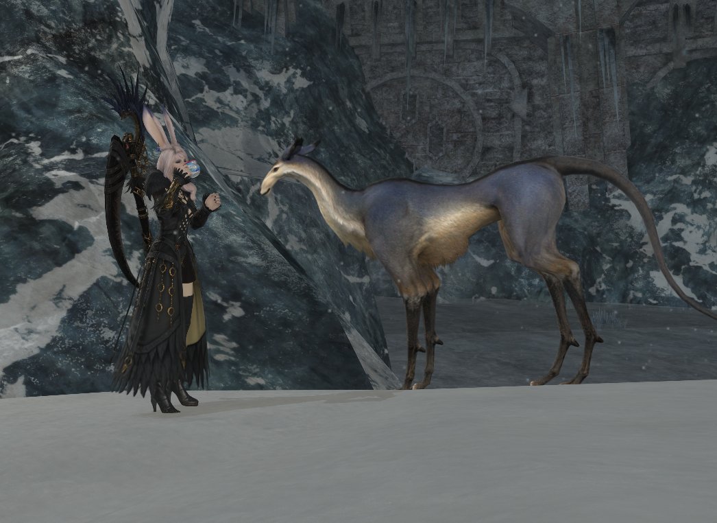 A_Deadly_Flower's tweet photo. Dont mind me forgetting x exists and not posting here since the patch update. Follow me on bluesky for more regular programing. https://t.co/P3rOotc9Op https://t.co/z1x5bMGngq