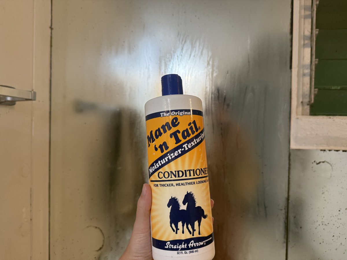 I have completed my 3rd , and most holy  , cycle with Mane n Tail conditioner.  It’s always the same. I start using it again after years of not. I am fueled by nostalgia and aesthetics. It makes my hair thick and full immediately .  I think, Wow , Why’d I Ever Stop? . Thick and
