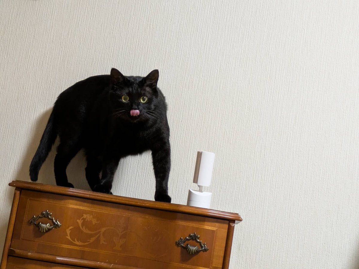 みみみちゃん (@mimimi______64) / Posts / X