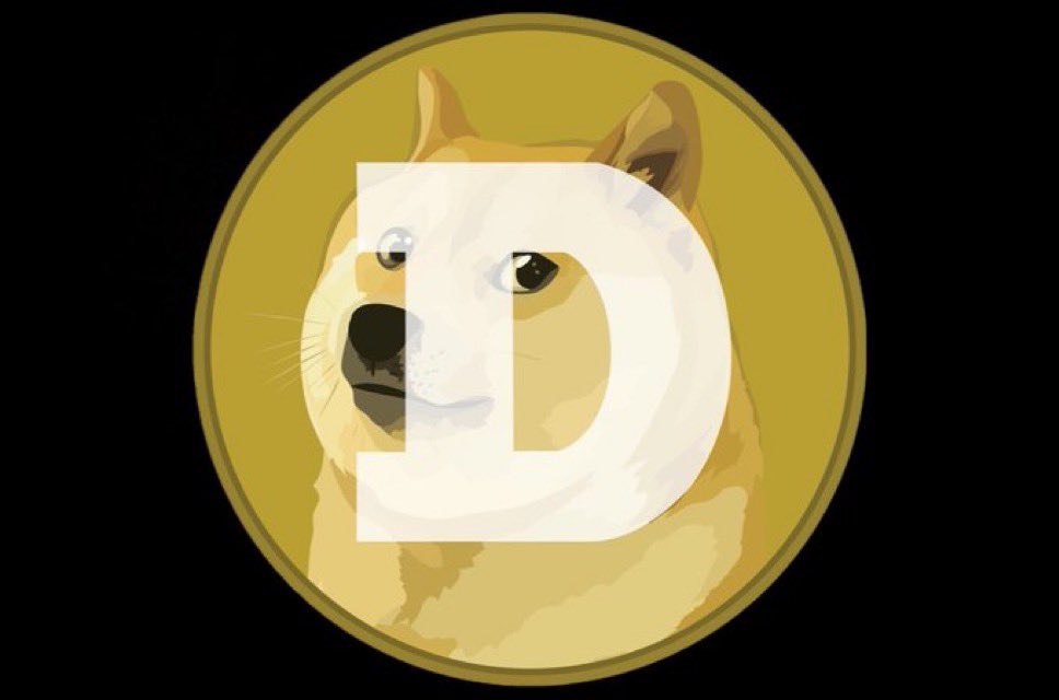 TeslaModelDoge tweet picture