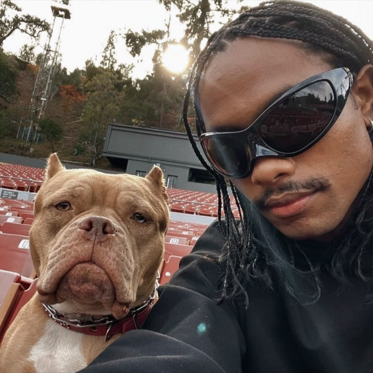 nightsofsecret's tweet photo. Steve Lacy with a pit bull https://t.co/zNIbogj8nu