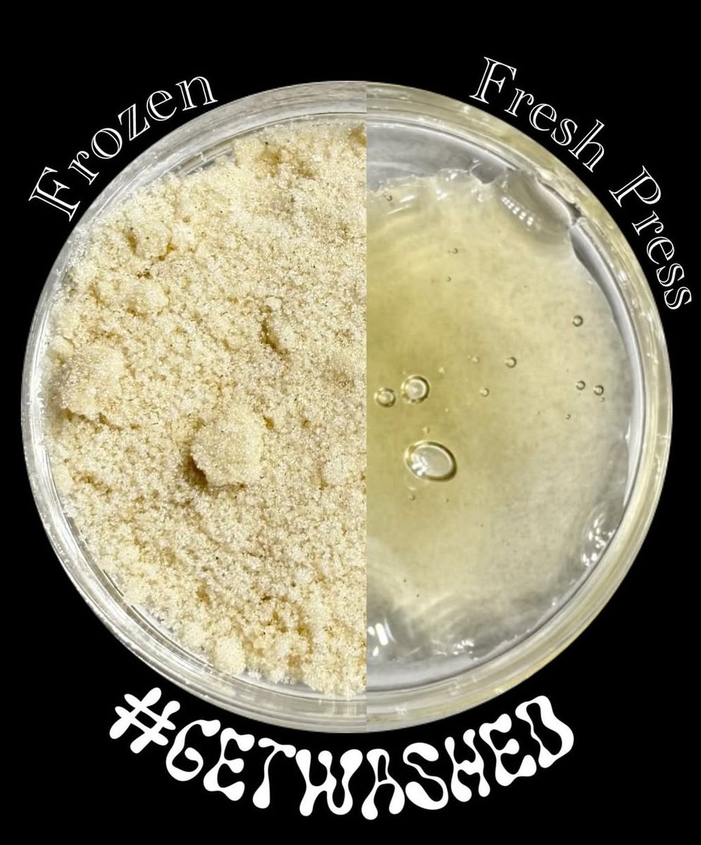 washed_la's tweet image. This Frozen Banana x Pressure pressed exceptionally clear through a 5u screen. 
Bred by the homie in Watsonville oldsoulgentics.