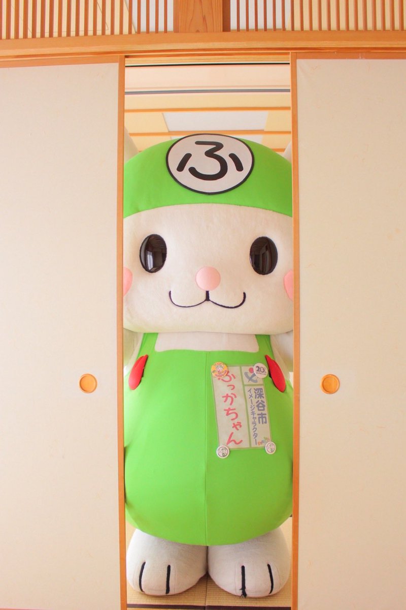 ふっかちゃん (@fukkachan) / Posts / X